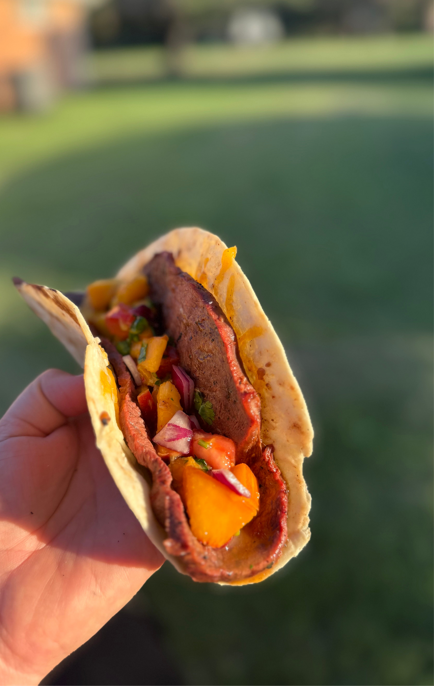 Carne Asada